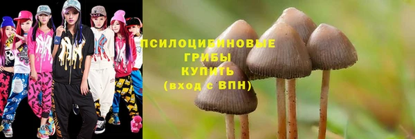 первитин Покров