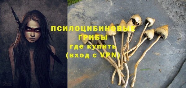 первитин Покров