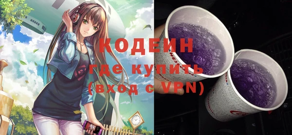 мдпв Щучье