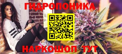 марки lsd Гай