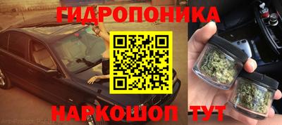 трава Бийск