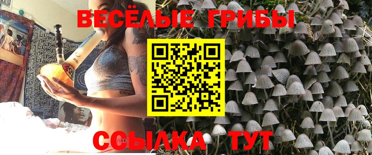 Псилоцибиновые грибы MAGIC MUSHROOMS  Вход с VPN  Вязьма 