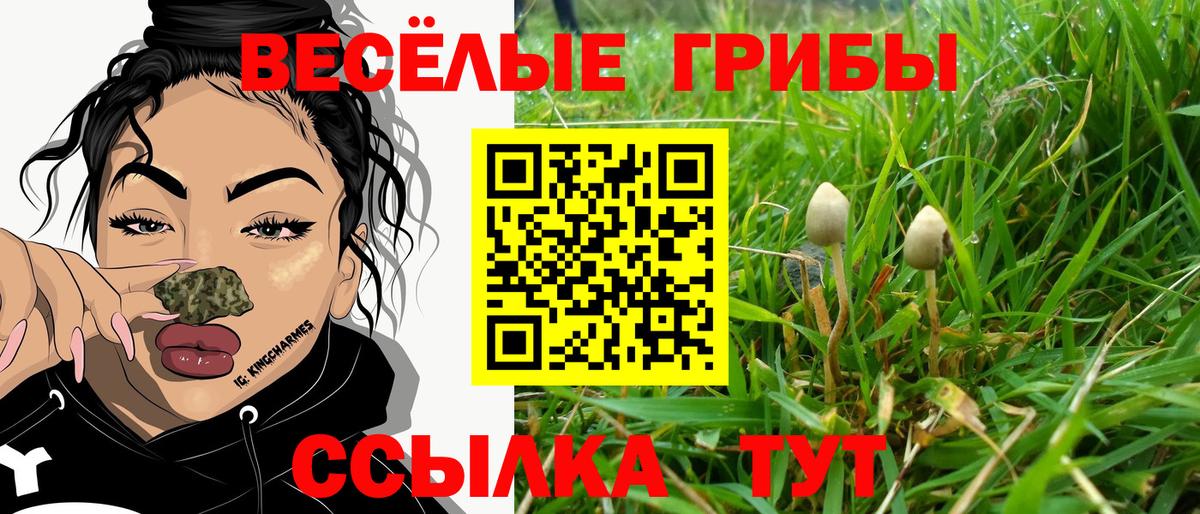 Галлюциногенные грибы ЛСД Вязьма