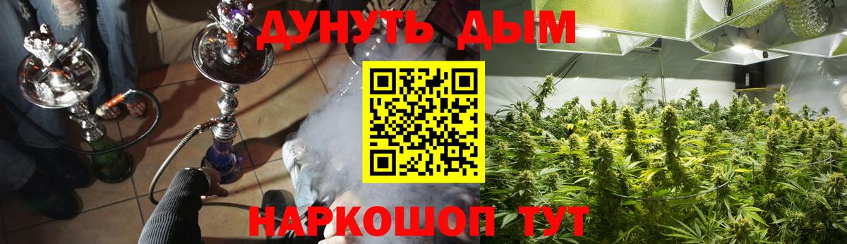 Вязьма  Каннабис планчик  Вход с VPN  Марихуана индика 